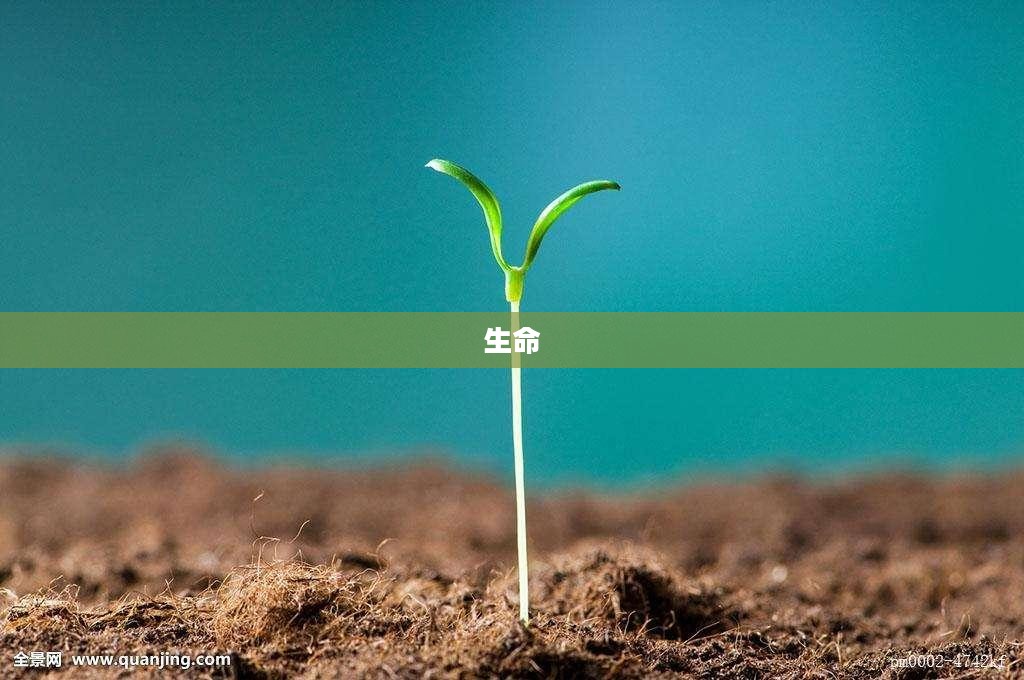 透景生命接受华创证券等机构调研，共探公司发展新篇章