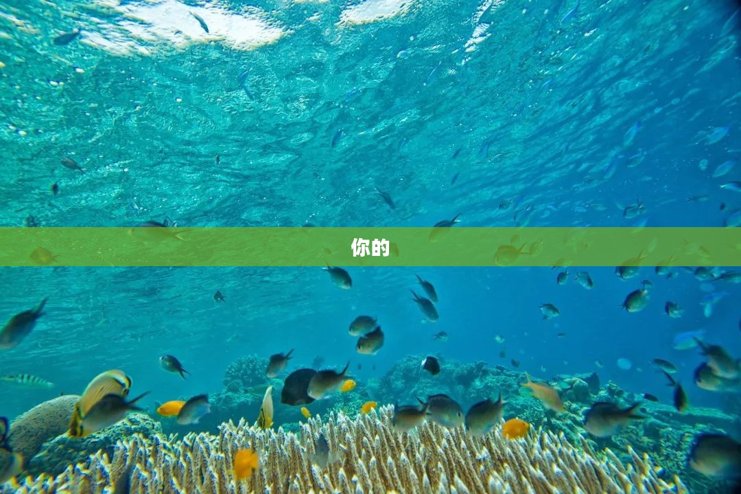 无尽海域探索,我的世界海洋版下载攻略 无尽海域探索,我的世界海洋版下载攻略
