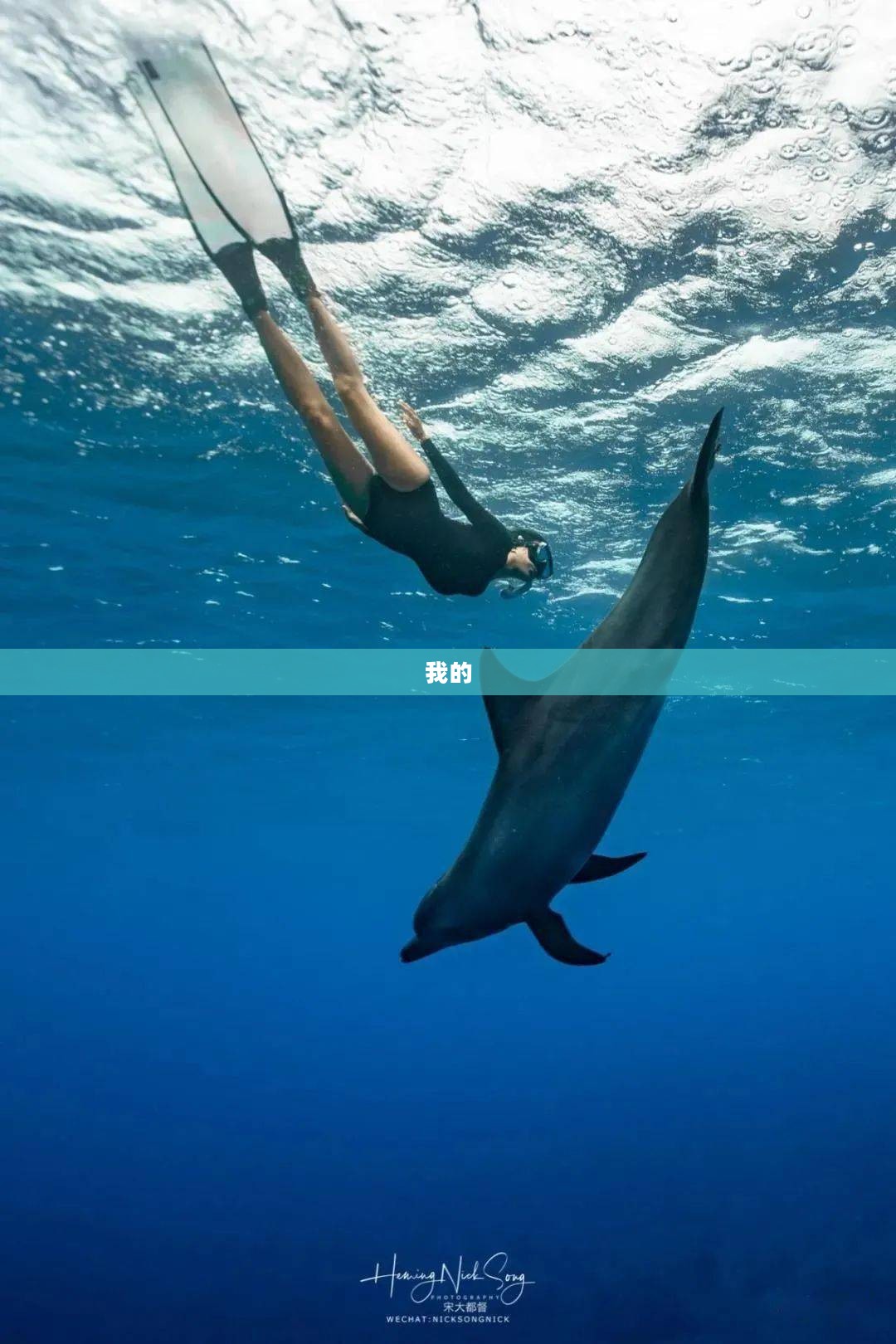 无尽海域探索指南，我的世界海洋版下载攻略