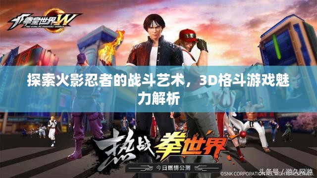 火影忍者战斗艺术探索，3D格斗游戏魅力深度解析