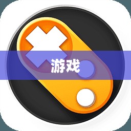 反恐精英OL游戏辅助工具，提升游戏体验的必备神器