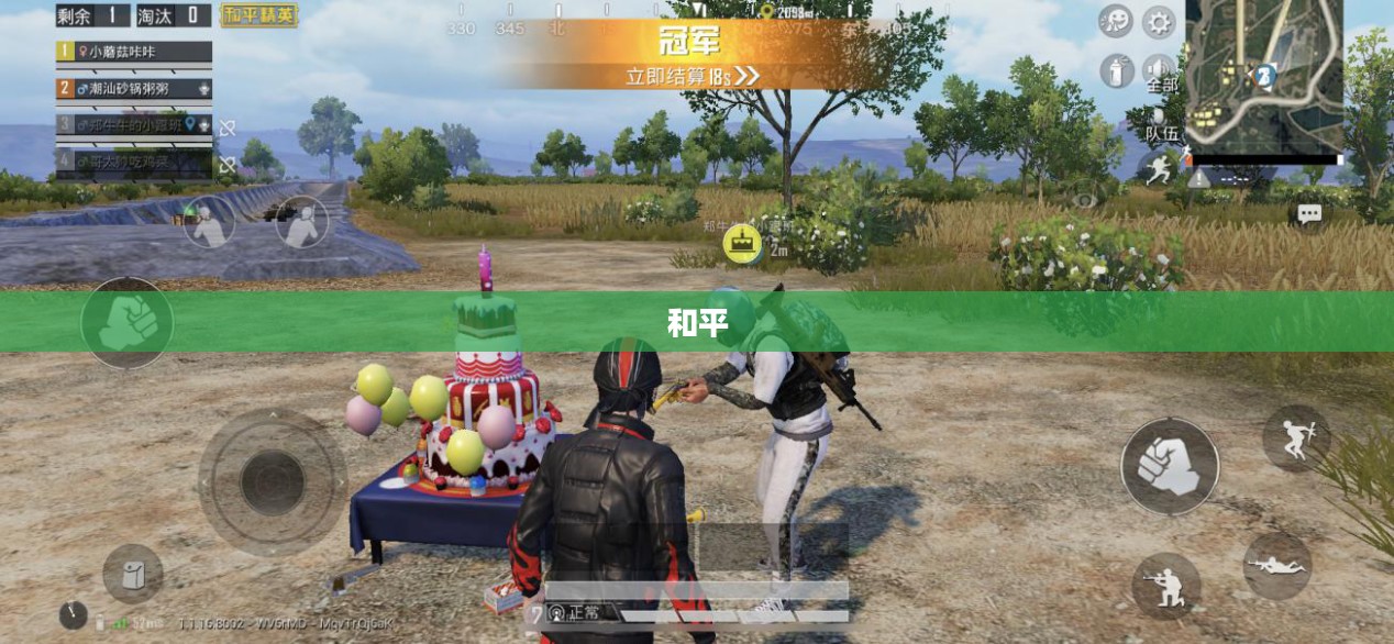 和平精英体验服深度探索，游戏测试前沿与优化揭秘