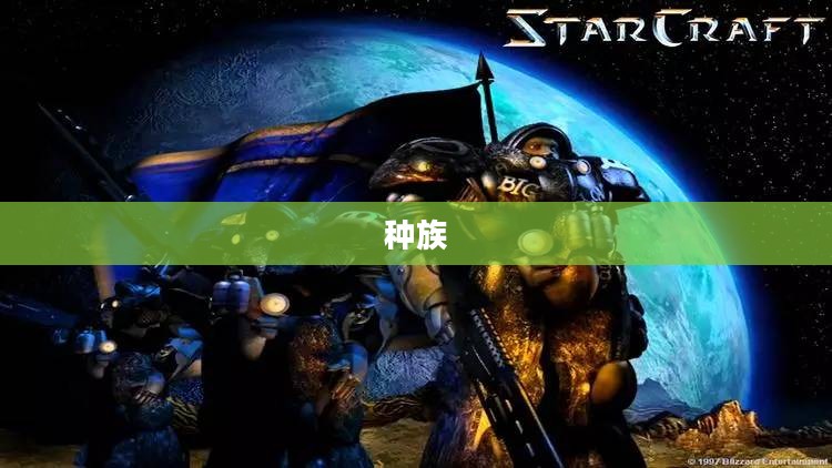 星际争霸,单人战役体验宇宙战争,下载指南全解析 星际争霸,单人战役体验宇宙战争,下载指南全解析