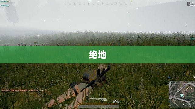 绝地求生国服体验,生存竞技游戏新纪元开启 绝地求生国服体验,生存竞技游戏新纪元开启