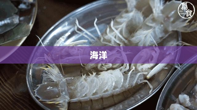 海洋奥秘揭秘，皮皮虾的传奇之旅