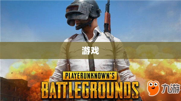 绝地求生亚服，生存竞技游戏的巅峰体验