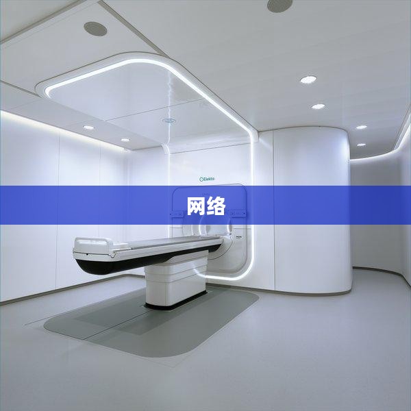 网络加速器助力在线体验飞跃提升效能