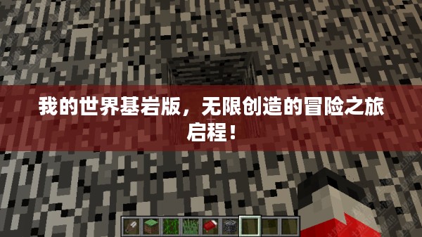 我的世界基岩版,无限创造的冒险之旅启程! 我的世界基岩版,无限创造的冒险之旅启程!