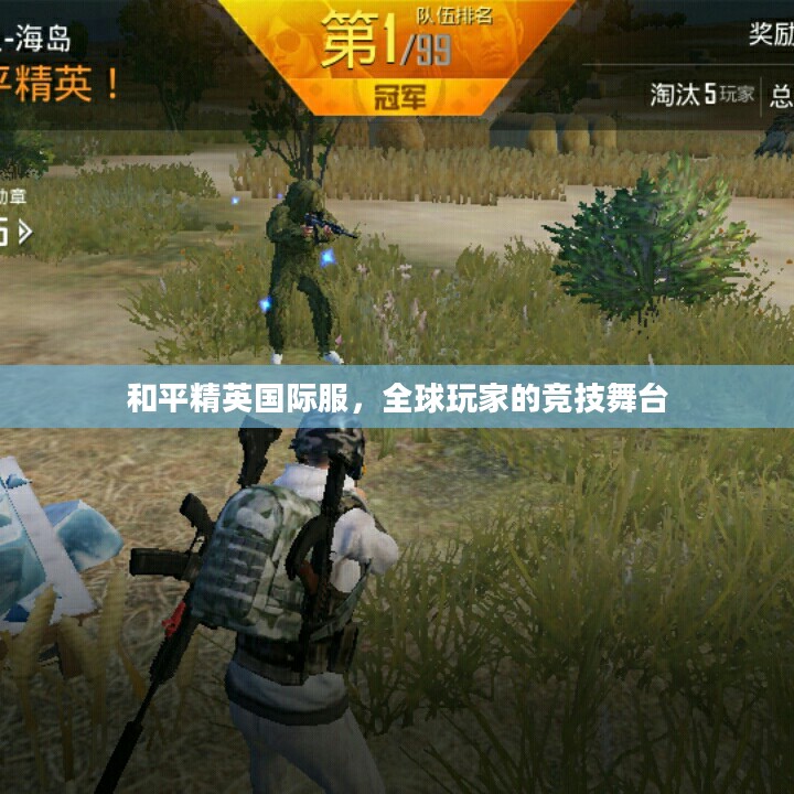 和平精英国际服,全球玩家的竞技舞台 和平精英国际服,全球玩家的竞技舞台