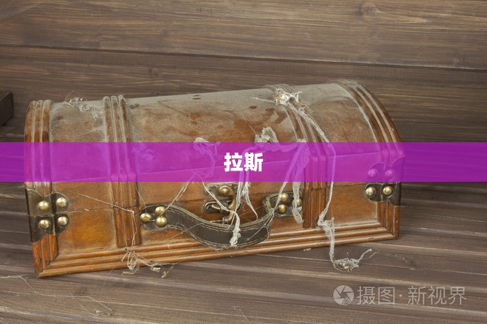 希拉斯秘密宝箱，历史谜团揭晓之际