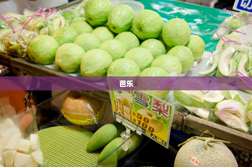 芭乐视频App概览