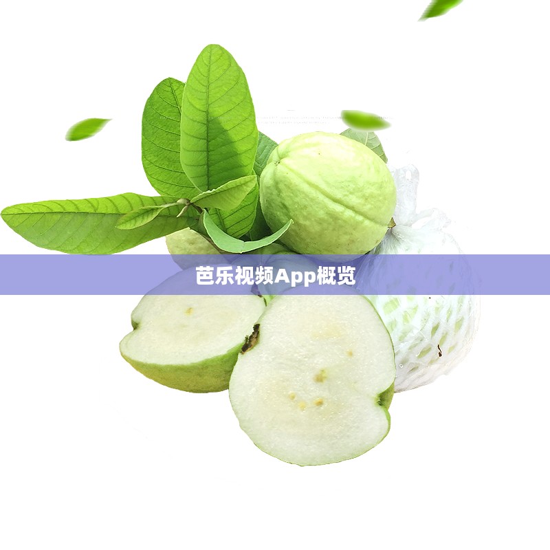 芭乐视频App概览