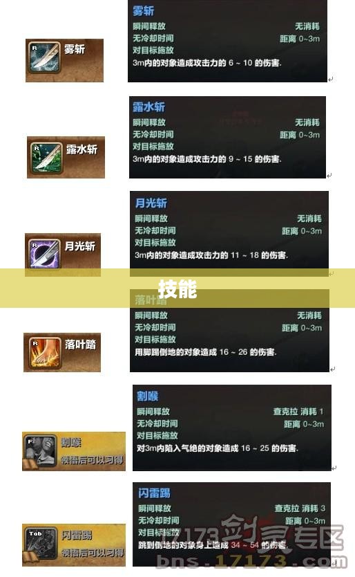 天书奇谈刺客角色技能加点攻略揭秘