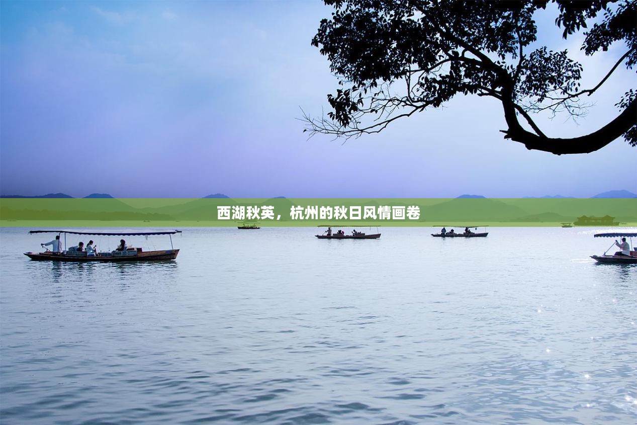 西湖秋英，杭州秋日风情之韵