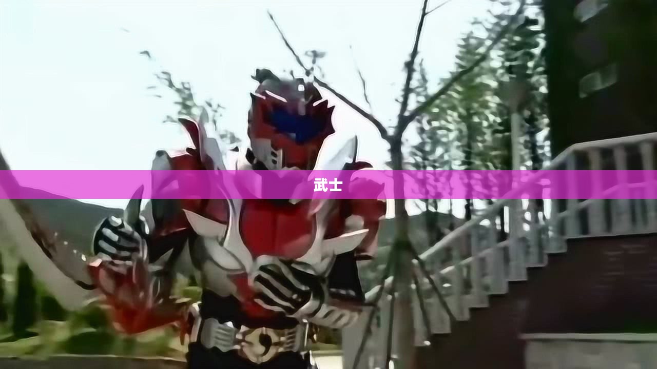 黑暗武士甲胄类型深度解析