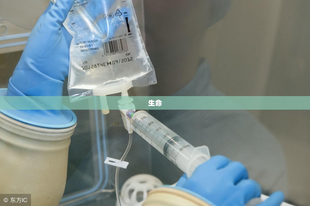复生之瓶的起源探秘