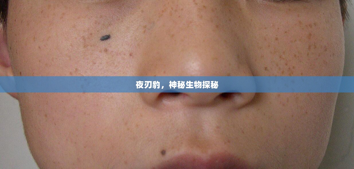 夜刃豹，神秘生物探秘之旅