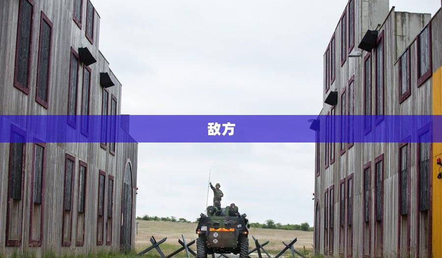 死亡宣告砸基地，定义、背景解析
