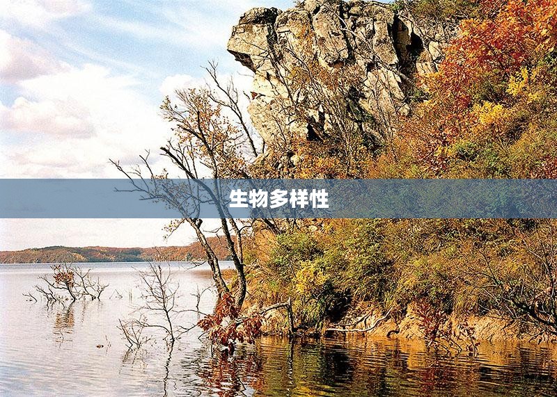 银潮谷，自然之美的神秘秘境探寻之旅