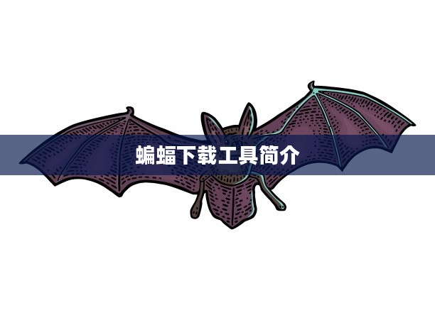 蝙蝠下载工具简介 蝙蝠下载工具简介