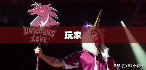 火影忍者2.4版本深度解析，探寻忍者世界的力量之源之巅