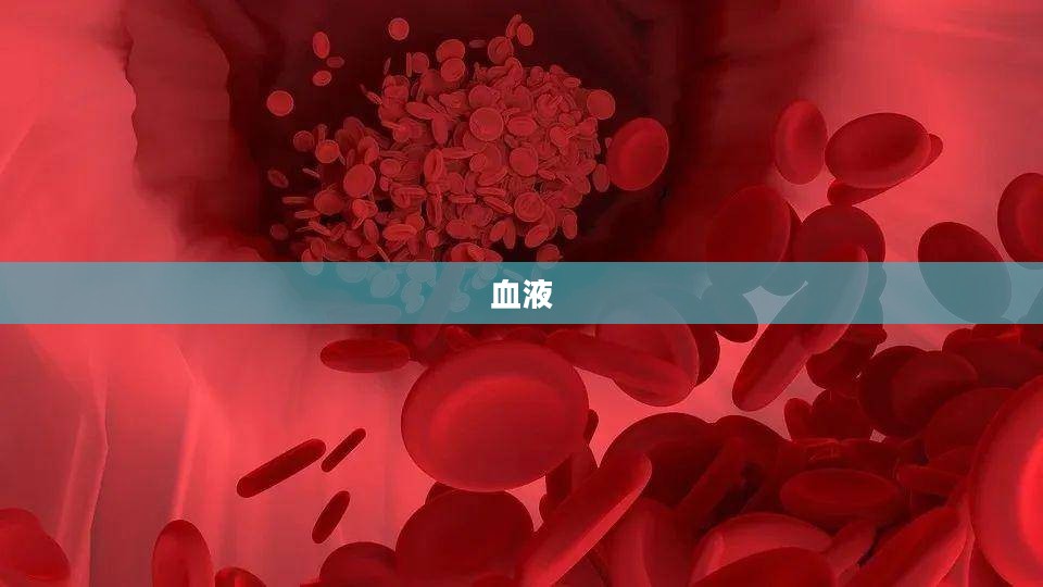 郑州医院血液净化引发争议，卫健委通报违法处理措施，涉事责任人拟被暂停执业活动并引发寿命延长质疑