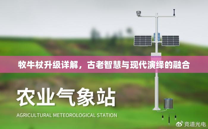 牧牛杖升级详解，古今智慧的融合演绎