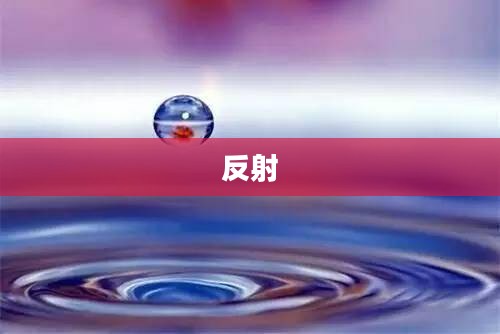我的世界光影水面魅力深度解析，视觉盛宴的打造探索