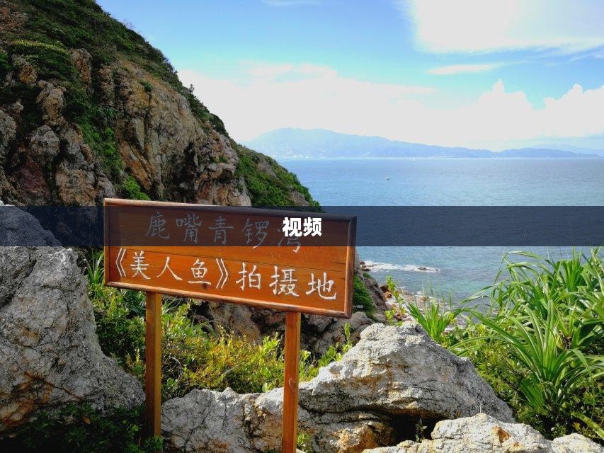 飘花视频，呈现电影的绝美视觉盛宴