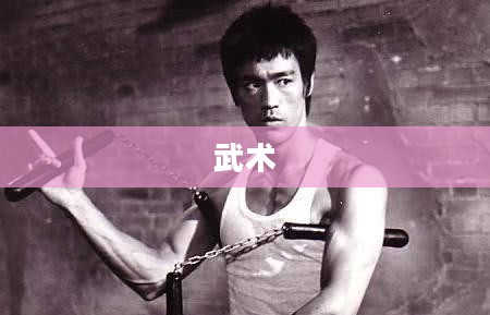 武圣传奇，武术的神秘魅力探索之旅