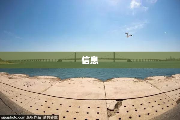 酷讯机票查询，特点解析