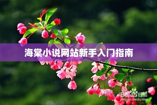 海棠小说网站新手入门攻略