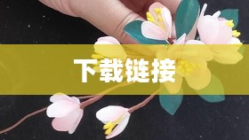 海棠小说网站新手入门指南 海棠小说网站新手入门指南