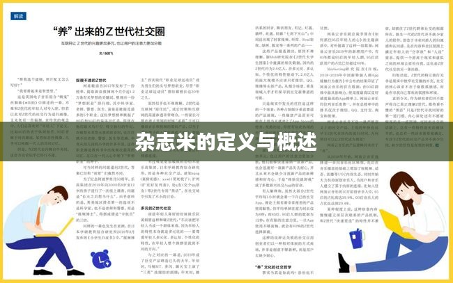 杂志米的定义与简介