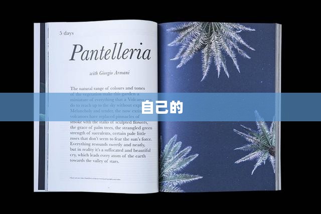 杂志米的定义与概述 杂志米的定义与概述