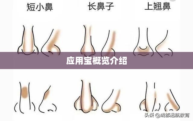 应用宝概览介绍 应用宝概览介绍