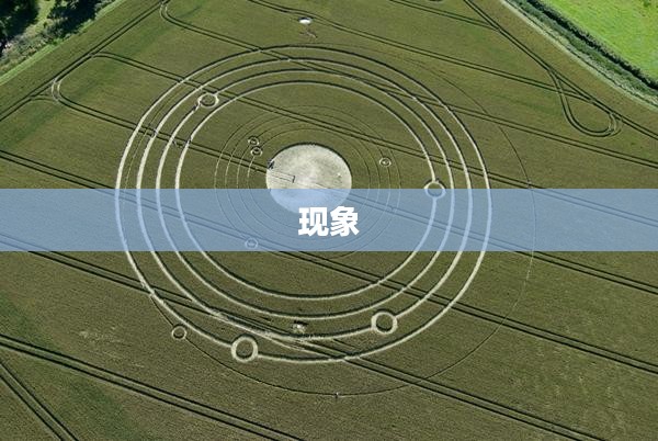 漂浮灵,概念解析 漂浮灵,概念解析