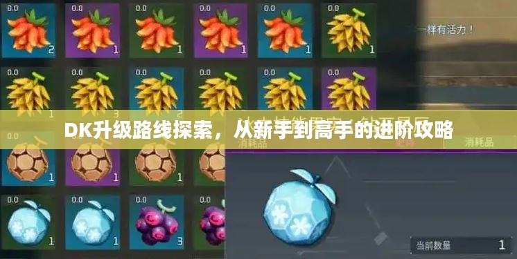 DK升级路线探索，新手到高手的进阶指南