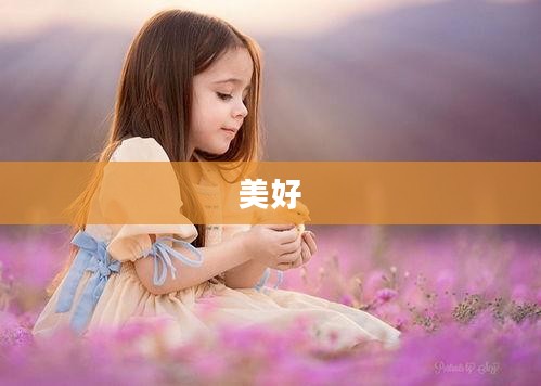 一耽女孩,定义与独特特点解析 一耽女孩,定义与独特特点解析