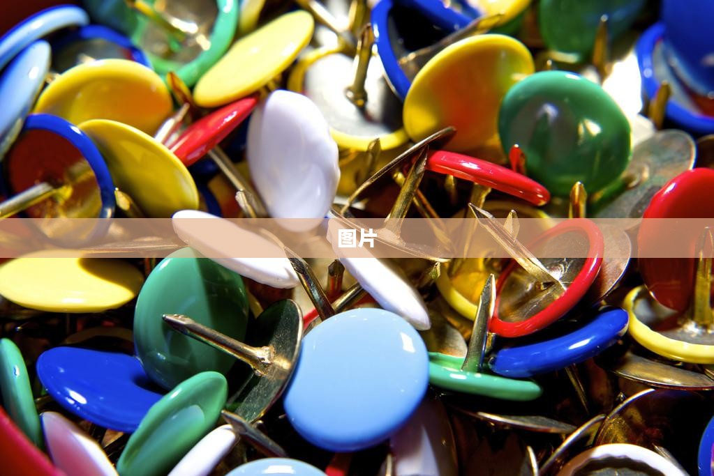图钉下载简介与功能全面解析