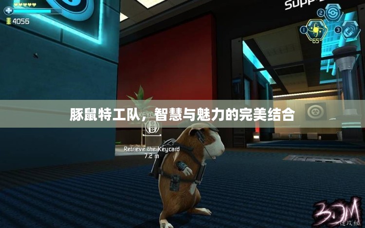 豚鼠特工队，智慧与魅力的完美结合