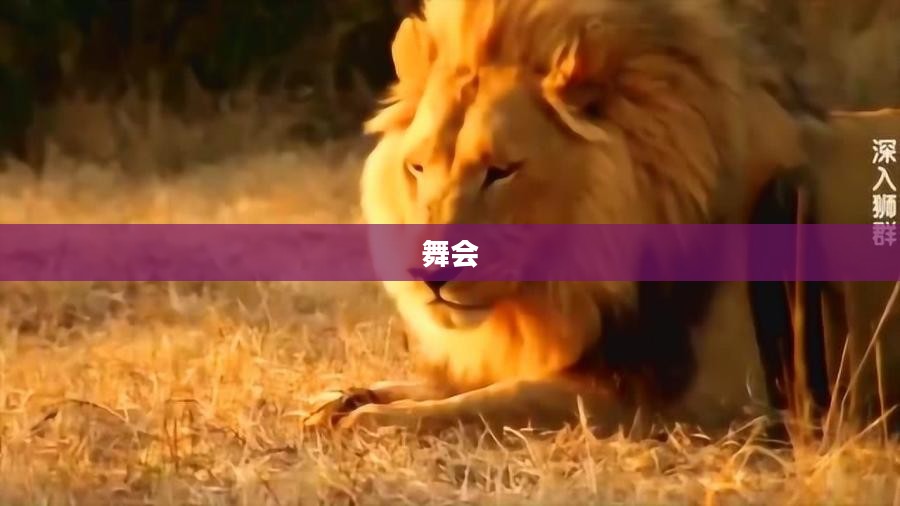 森林舞会王者风采，狮子机展示独特魅力