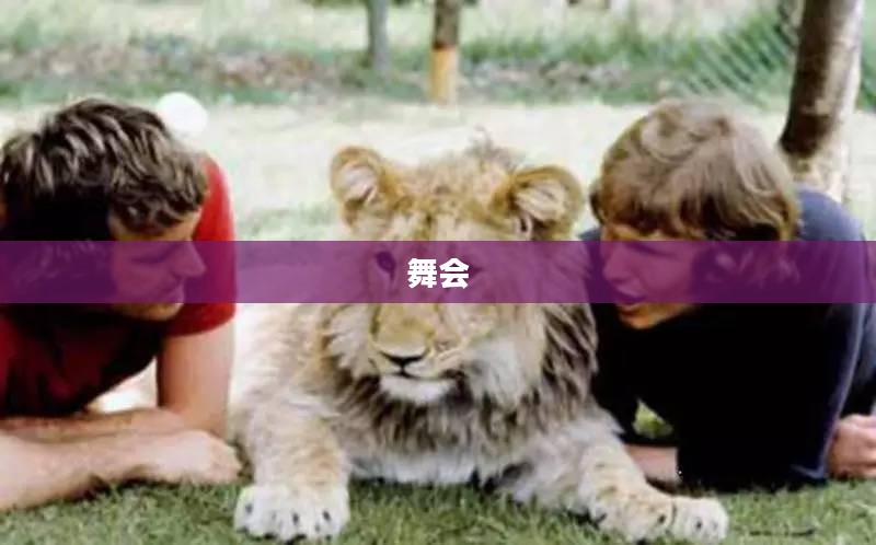 森林舞会中的王者，狮子机风采展示