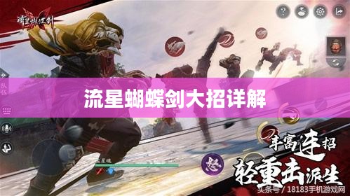 流星蝴蝶剑大招全面解析