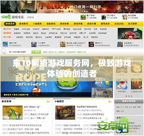 东十网络游戏服务网，极致游戏体验的引领者