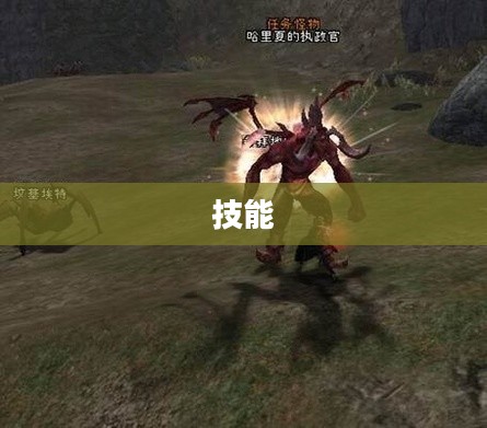 暗黑2圣骑士雇佣兵，忠诚守护的勇士传奇