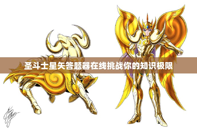 圣斗士星矢答题器，挑战你的知识极限！