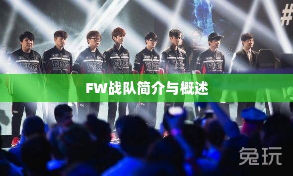 FW战队简介与概述 FW战队简介与概述
