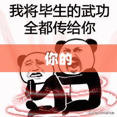 英雄萨姆2秘籍大全揭秘