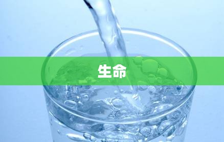 探寻长寿传说与追求之道，揭秘长寿的秘密与传说